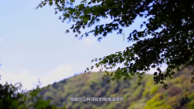 历史上最残暴的皇帝是谁?游戏画面
